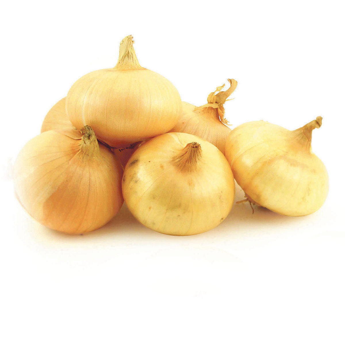 Svogūnai CLEVER, 1 kg