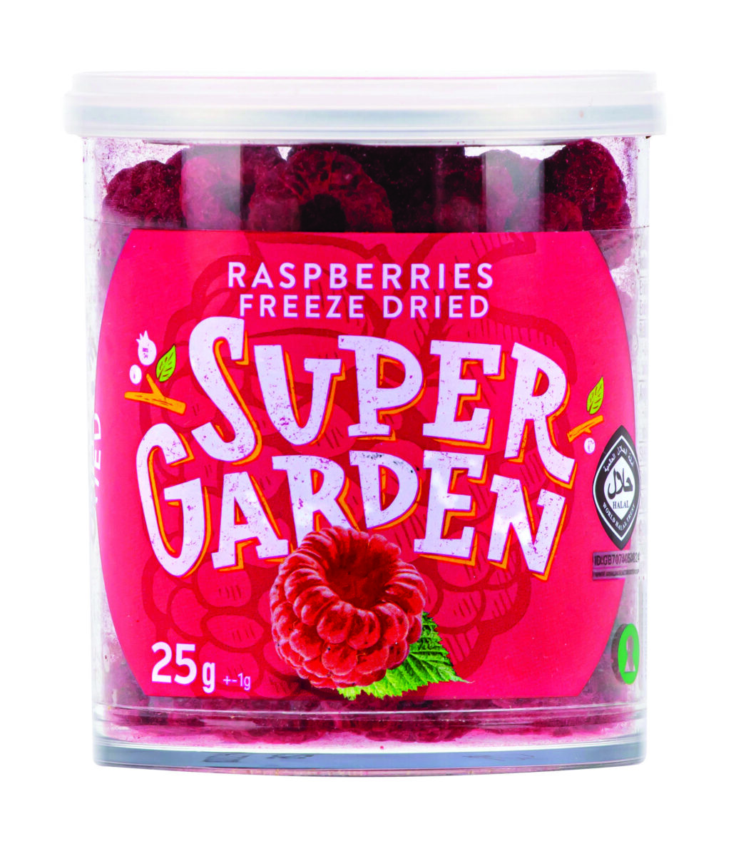 avietes-dziovintos-saltyje-supergarden