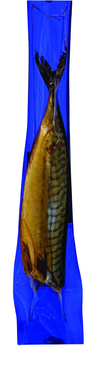 iki-saltai-rukyta-atlantine-skumbre-isdarineta-be-galvos