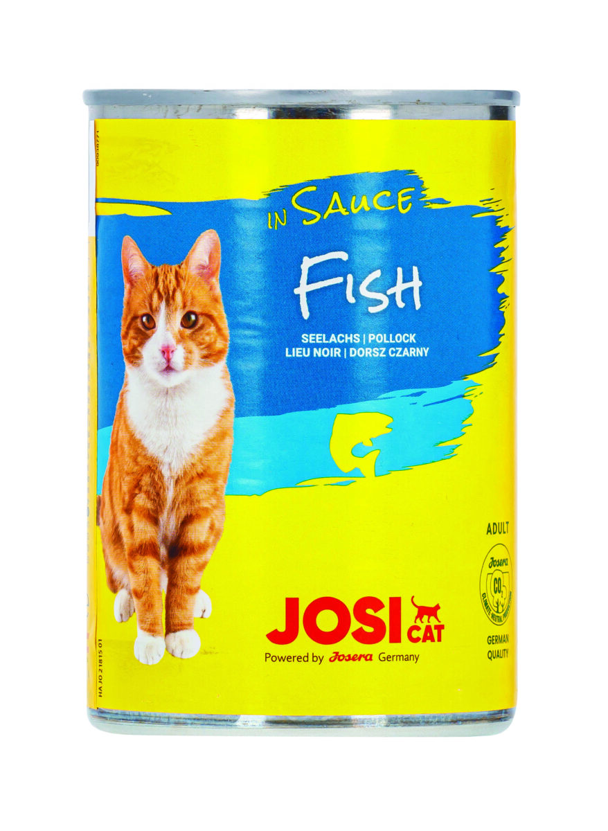 edalas-katems-su-zuvimi-padaze-josicat