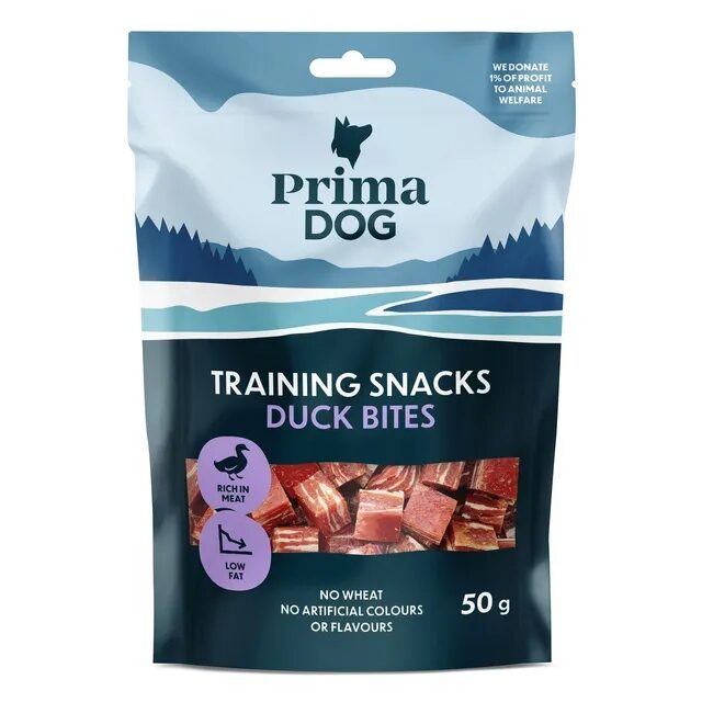 treniravimo-skanukas-antienos-kasneliai-prima-dog