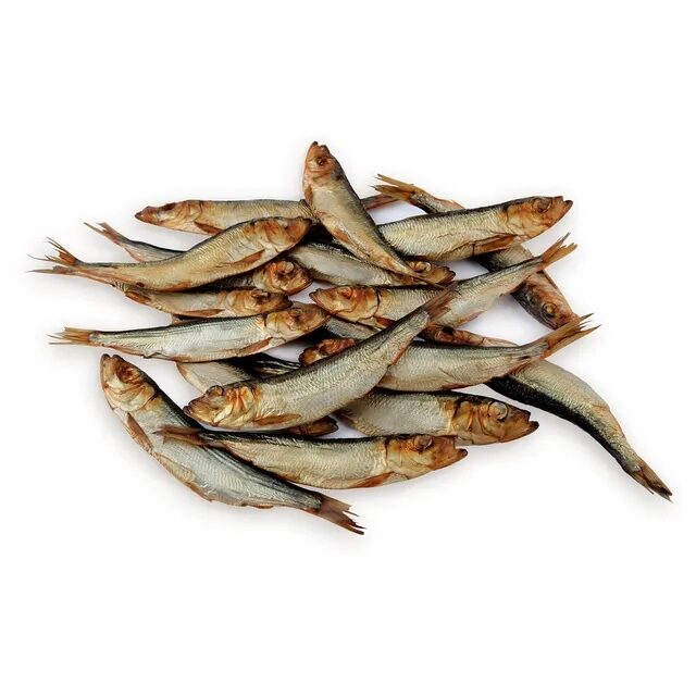 karstai-rukytos-strimeles-dauparu-zuvis