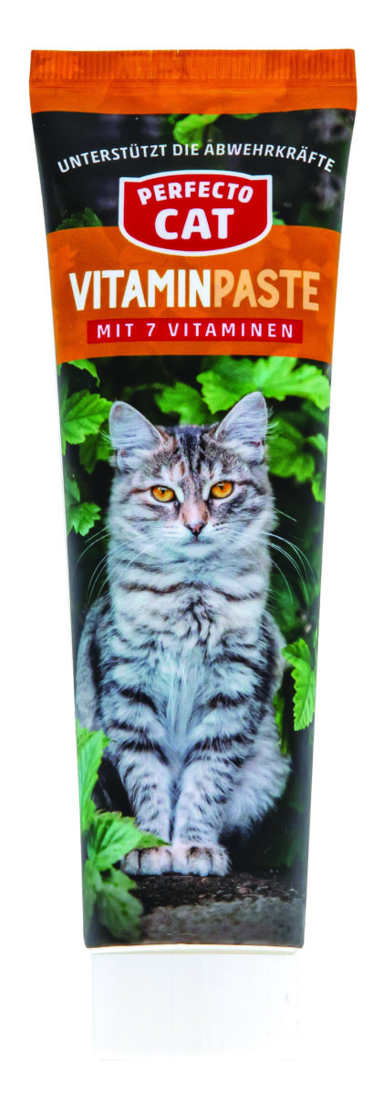 pfc-cat-vitaminu-pasta-katems-100-g