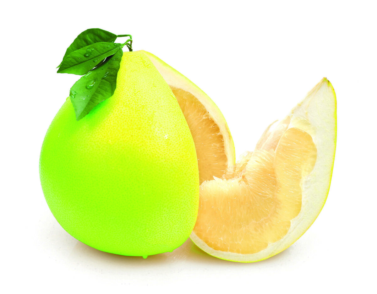 baltieji-greipfrutai-pomelo