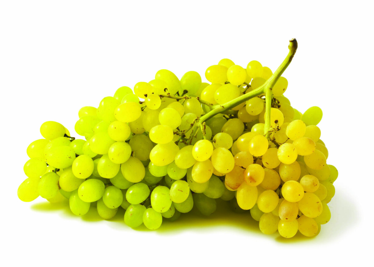 besekles-zaliosios-vynuoges-sultana