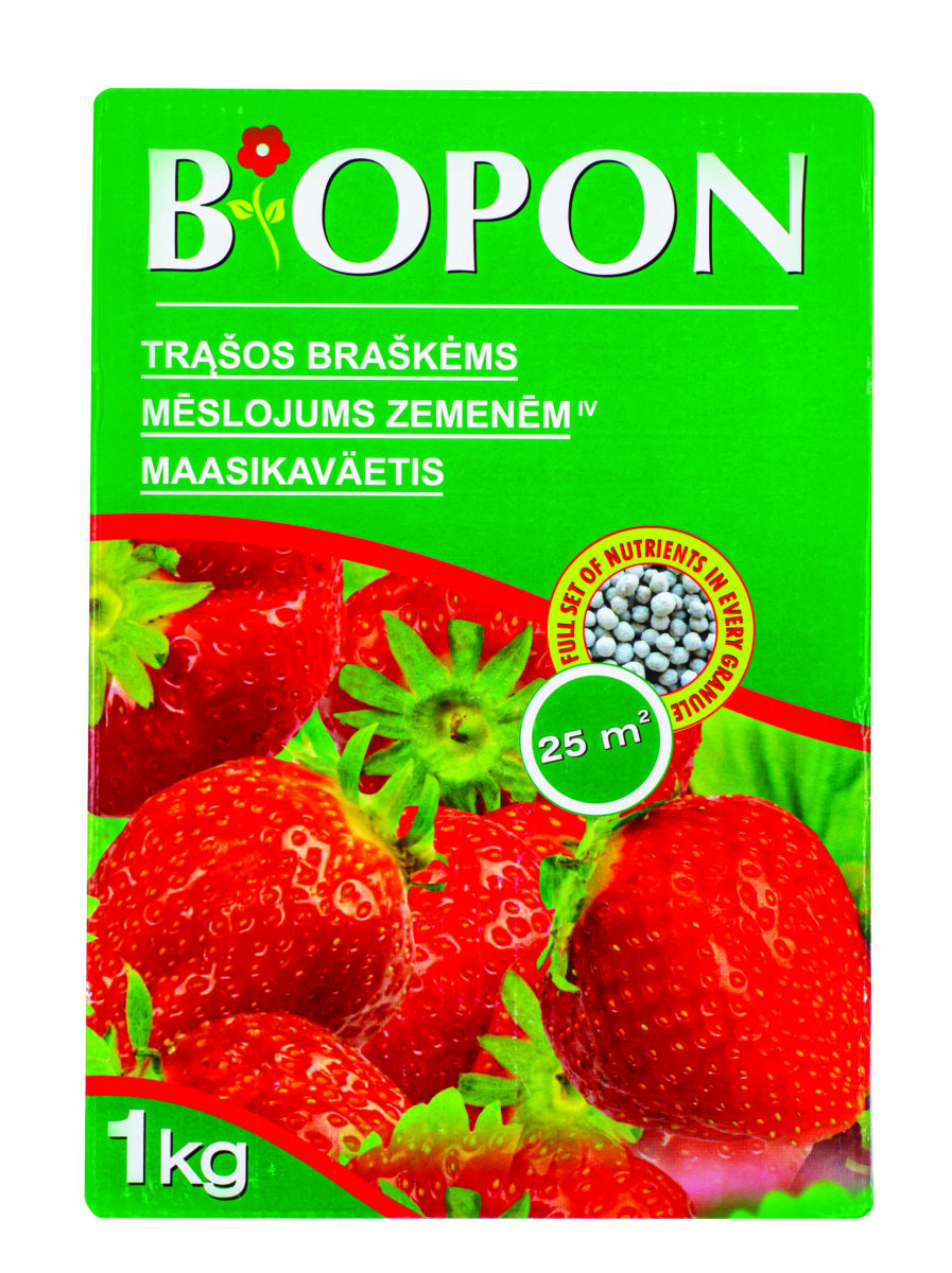 trasos-zemuogems-ir-braskems-biopon